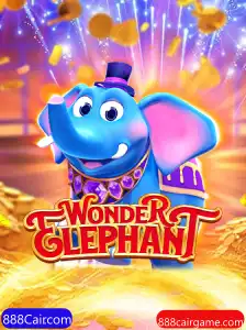 Explorando o Fascinante Mundo de WonderElephant